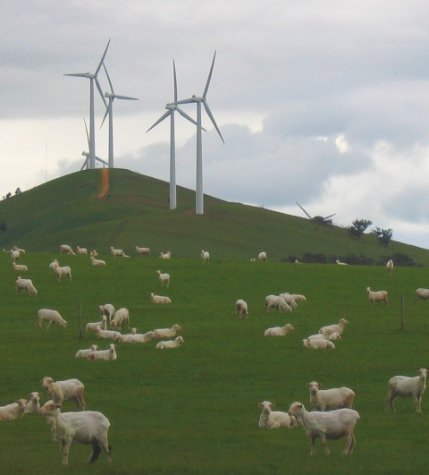 Conectarea parcurilor eoliene la sistemul national