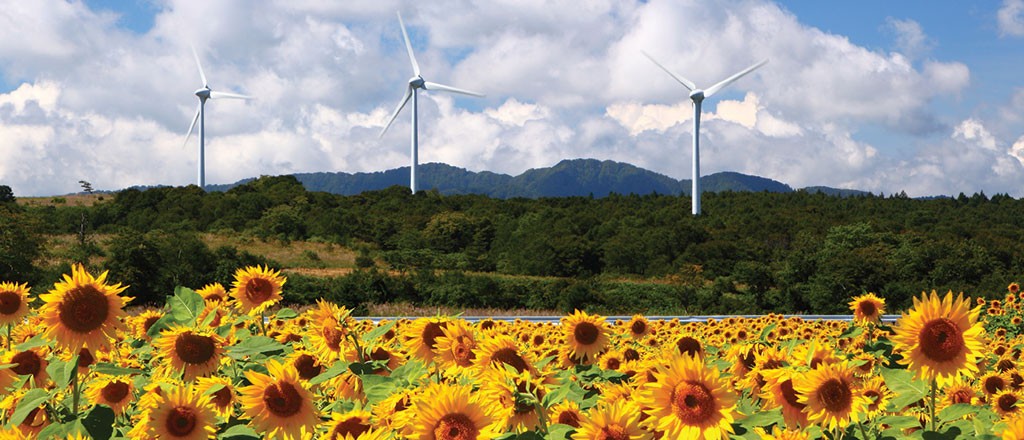 energie regenerabila in europa