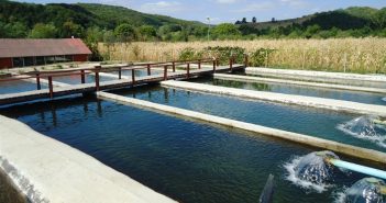 Fonduri europene nerambursabile pentru companiile de acvacultură care investesc în sisteme de energie regenerabilă