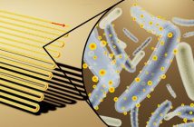 Invențiile inedite ale unor cercetători: bacteriile-cyborg care produc energie electrică, asemeni panourilor solare