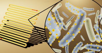 Invențiile inedite ale unor cercetători: bacteriile-cyborg care produc energie electrică, asemeni panourilor solare