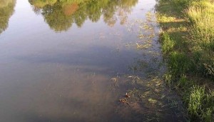 curatarea_apei_solar-magazin.ro.jpg