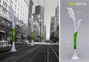 biolamp