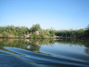 panouri fotovoltaice solare
