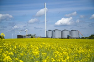 bioenergie