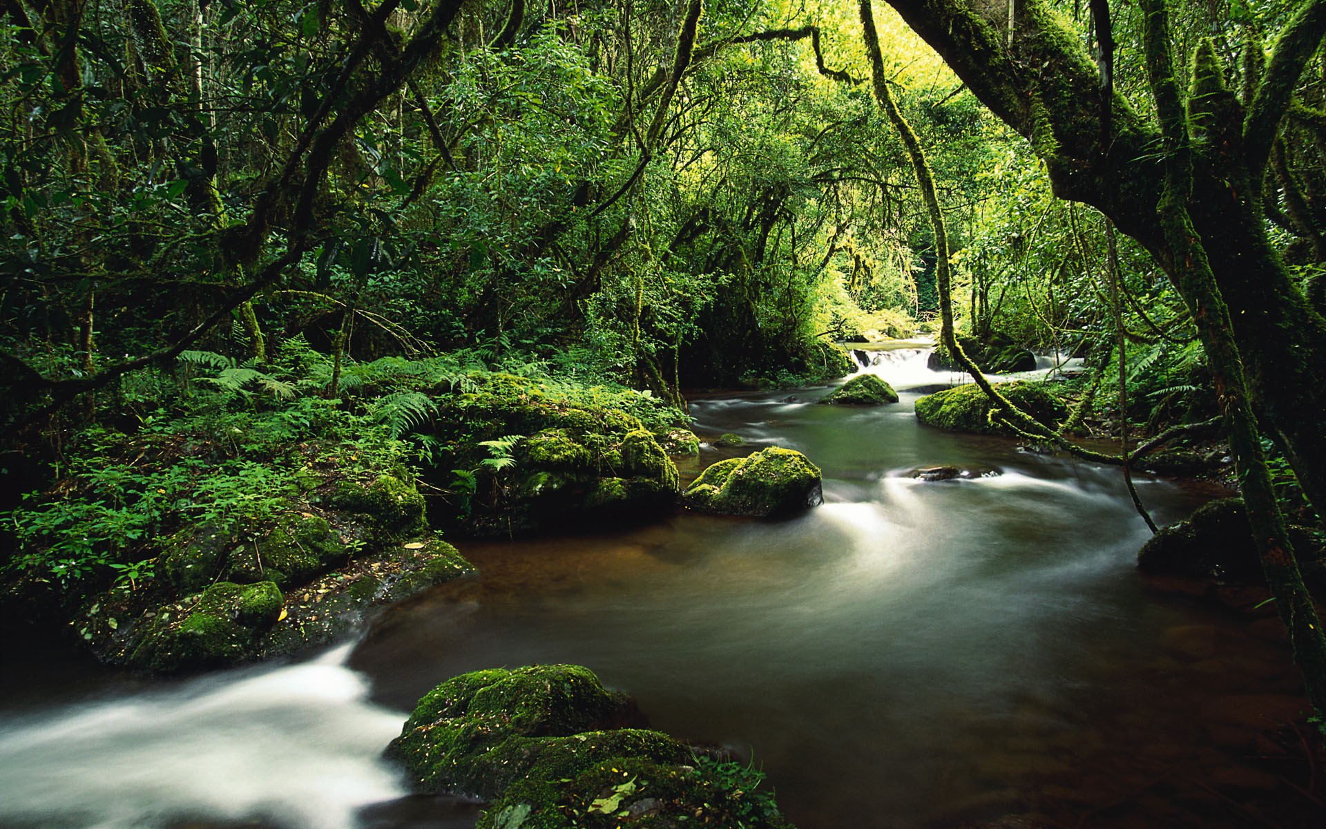 energie curata Costa Rica