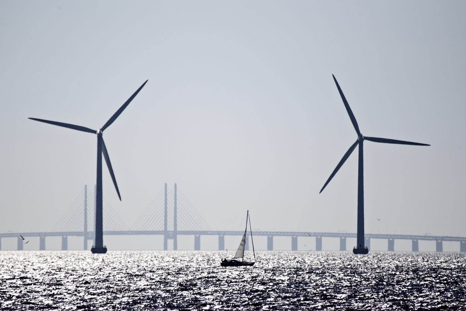 turbine eoliene Vestas