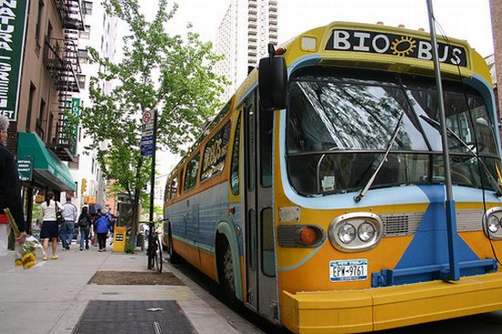 autobuzul_bio1_solar-magazin.ro.jpg