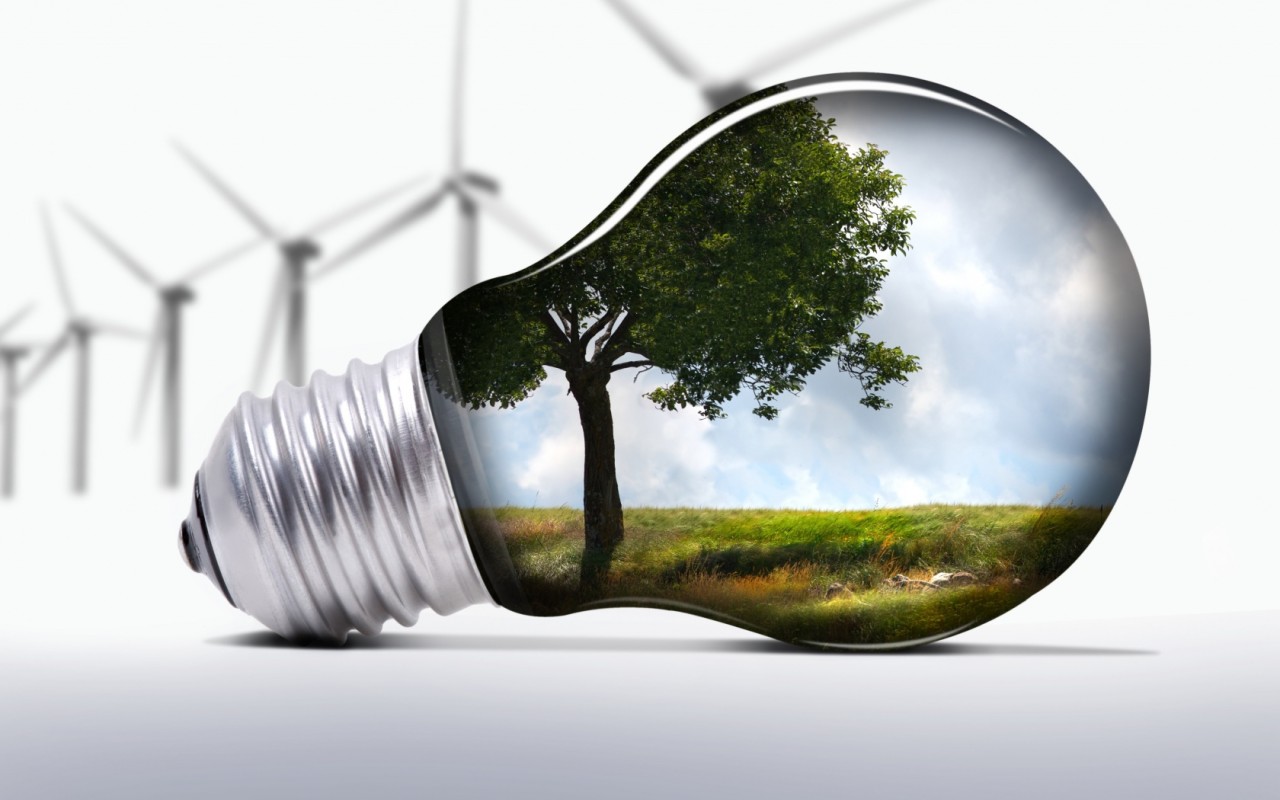 piata_turbinelor_eoliene_solar-magazin.ro.jpg