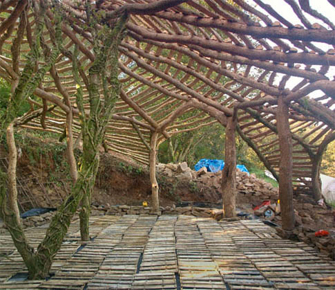solar-magazin_case_pasive_-_bordeiele_eco.jpg